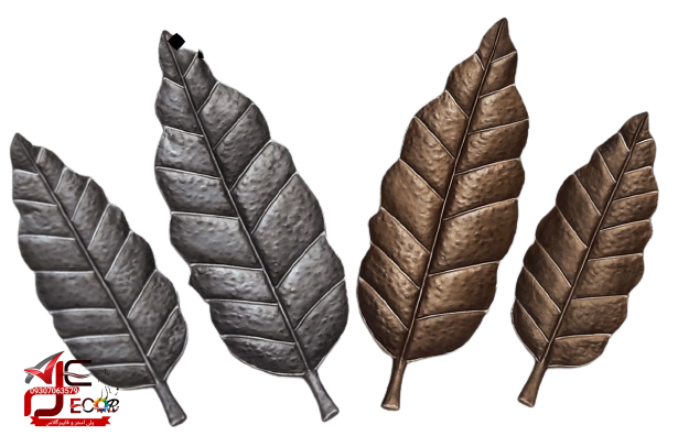برگ دکوراتیو پاچیرا